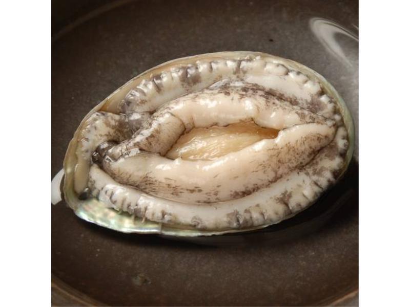 마루큐 료칸 이즈 외부 사진
